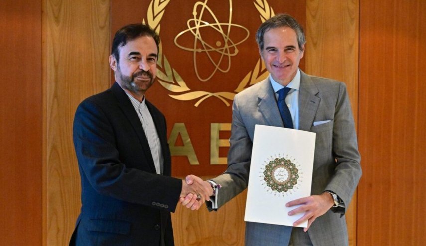 مدير عام الوكالة الذرية يتسلم أوراق اعتماد السفير الإيراني الجديد