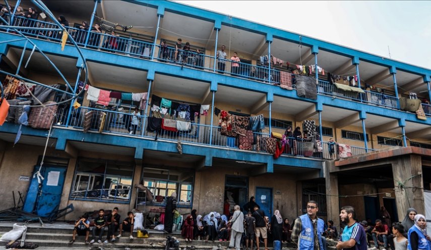 التعليم بغزة.. 14,784 طالبًا استُشهدوا و24,766 أصيبوا منذ بدء العدوان