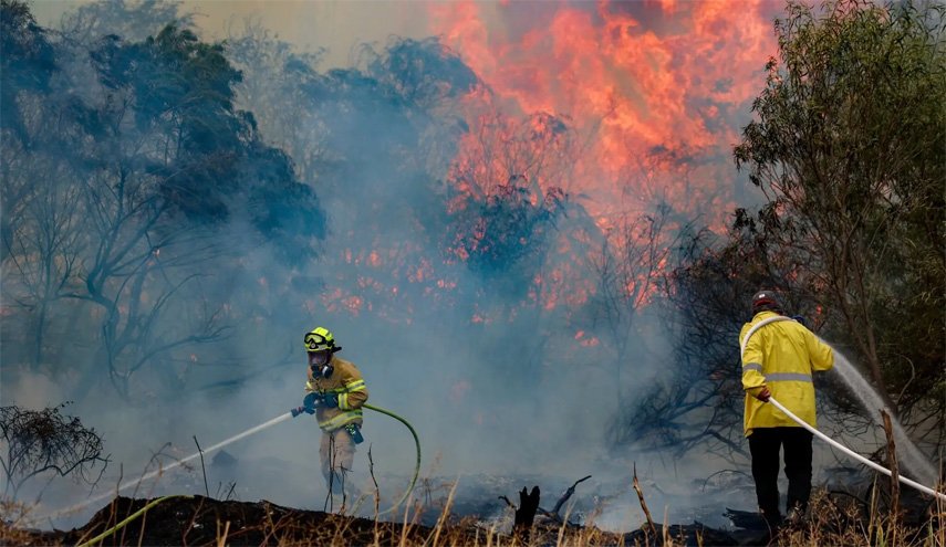 استمرار الحرائق في جبال القدس المحتلة ومناطق أخرى