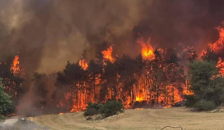 آتش‌سوزی گسترده در نزدیکی «اشدود» اشغالی و تخلیه خانه‌های مسکونی «کفار آفیو»