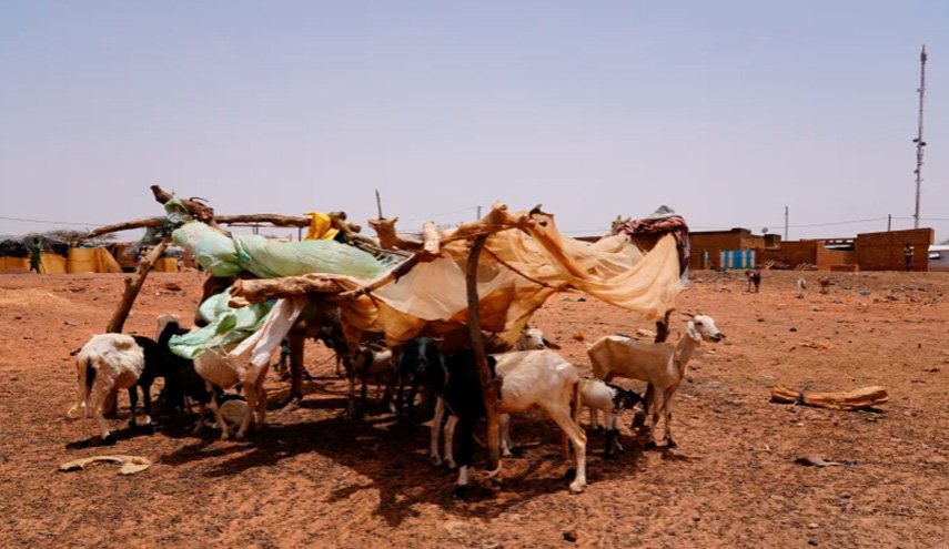 تقرير دولي: تغير المناخ يفاقم الجوع وانعدام الأمن والنزوح في أفريقيا