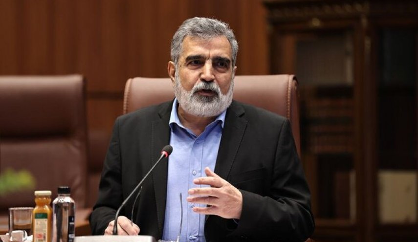 کمالوندی: واکنش فوری و متناسب به هرگونه اقدام غیرسازنده آژانس نشان می‌دهیم