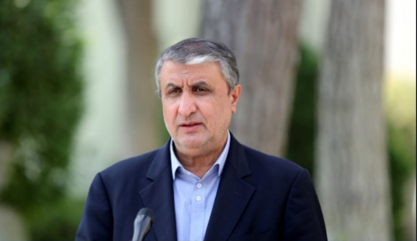 رئيس الطاقة الذرية الايرانية: لن ندع أي إجراء ضدنا دون رد