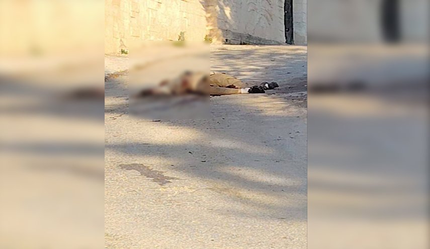 قوات الاحتلال تطلق النار على فلسطيني ثم تدهسه بآلية عسكرية بجنين +صور 