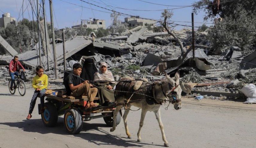 الإعلام العبري يكشف عن عملية نهب الحمير من غزة بمشاركة جمعيات إسرائيلية 