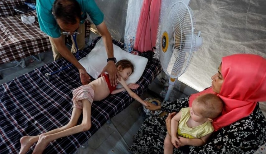 التجويع في غزة لن يحقق اهدافا عجز القصف عن تحقيقه