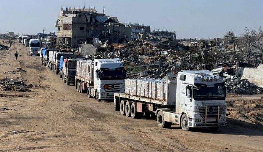 100 منظمة دولية: 