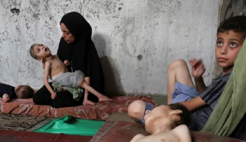 عفو بین‌الملل: رژیم صهیونیستی هدفمند سیاست «گرسنگی عمدی» به مردم غزه را دنبال می‌کند