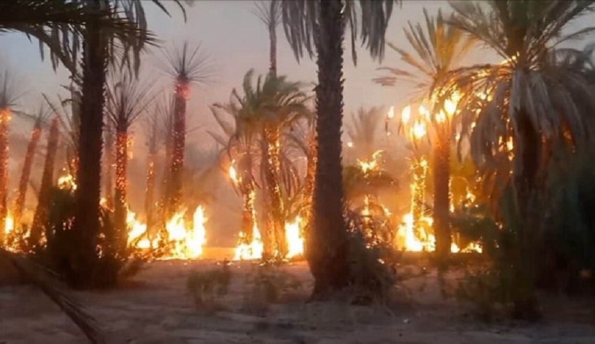 خسارات سنگین آتش‌سوزی‌ها به پنج کشور عربی