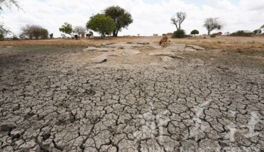 وای نت: بی آبی در اسراییل هزاران هکتار زمین کشاورزی را نابود کرده است
