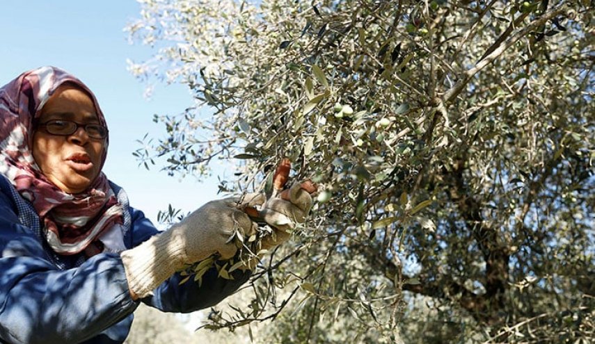 الاحتلال يقطع الأرزاق بجنوب لبنان ومئات العائلات مهددة بالتهجير القسري