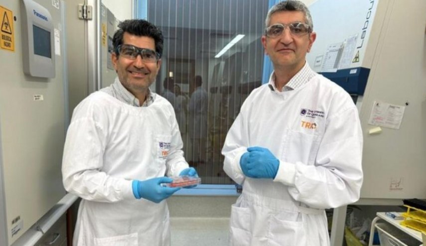 باستخدام الخلايا الجذعية ..باحثان إيرانيان ينتجان جلد الإنسان في المختبر