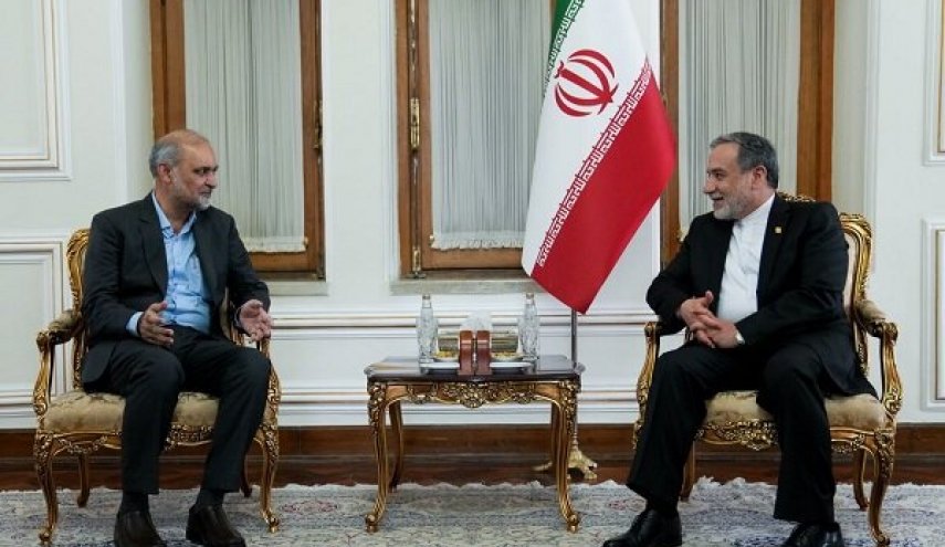 ملاقات امیر جماعت اسلامی پاکستان با عراقچی
