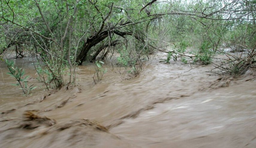 مقتل 1000 شخص بانهيار أرضي في غرب السودان
