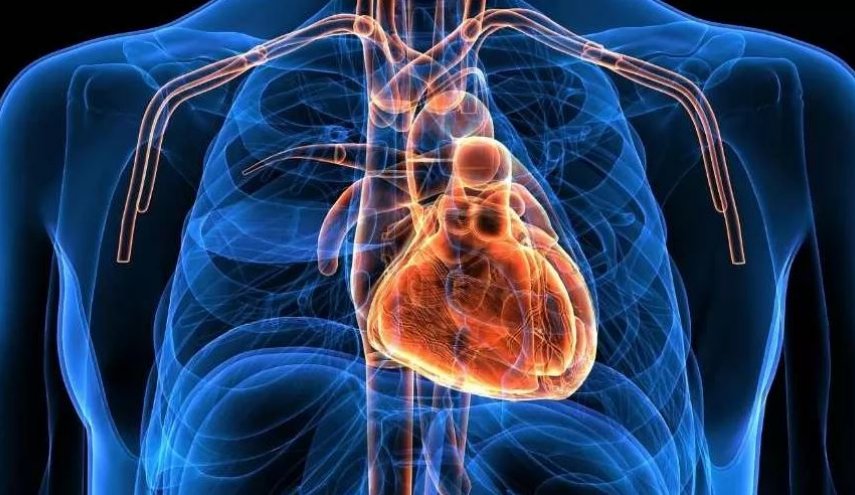 تعرف على تأثير الإجهاد المزمن على عمل القلب