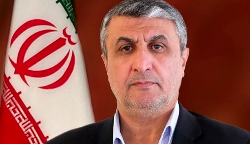 اسلامی: استانداردهای آژانس دوگانه است/ضرورت وضع قانون ممنوعیت حمله به تاسیسات هسته‌ای