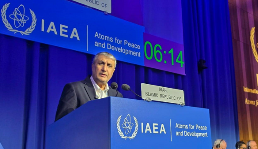 إسلامي: إيران لن تتنازل عن حقوقها الأصيلة 