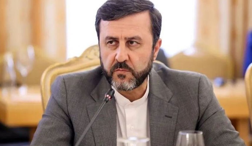 غريب آبادي يرد على مزاعم رئيس فرنسا إيمانويل ماكرون