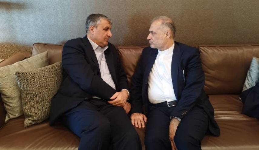 رئیس سازمان انرژی اتمی وارد مسکو شد