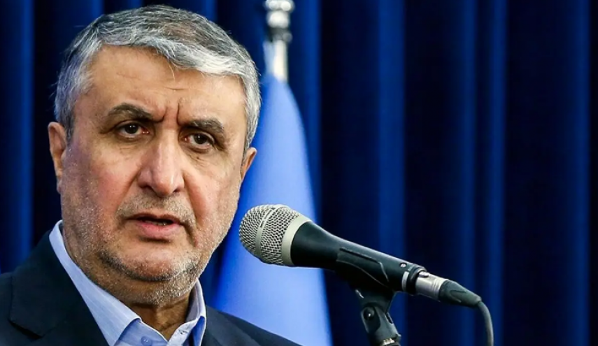 اسلامی: ایران به گفتگو متعهد است/ آژانس باید حملات به مراکز هسته‌ای ما را محکوم می‌کرد