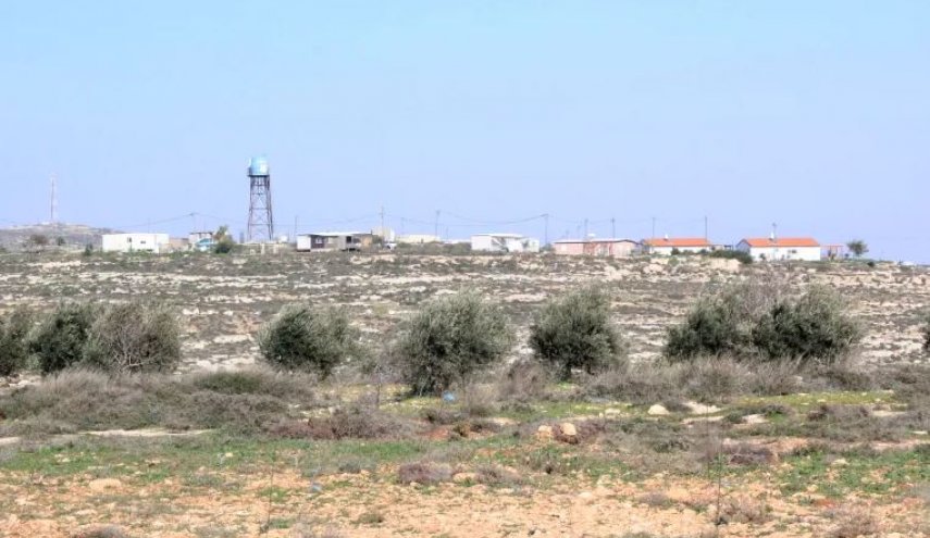 حمله شهرک‌نشینان صهیونیستی به مزارع زیتون حین برداشت محصول 