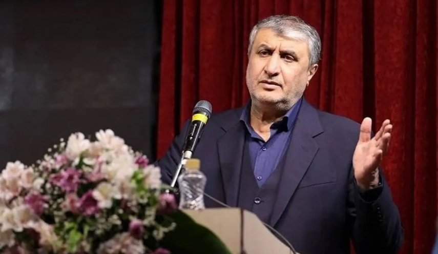 إسلامي: معيارنا للتعاون مع مفتشي الوكالة هو القانون الجديد للبرلمان