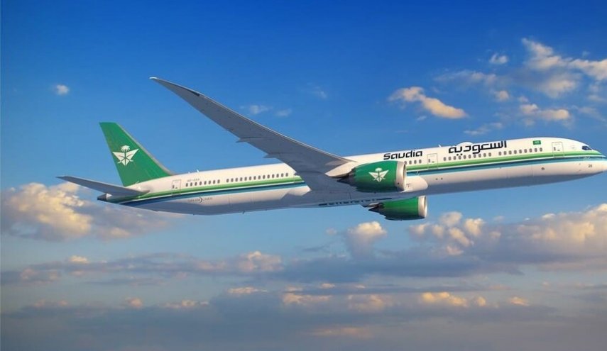 'مجزرة طيور' بفعل طائرة سعودية اثر إصطدامها بطيور مهاجرة+ صور