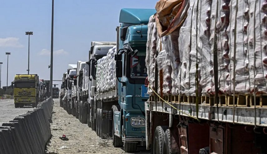 منظمات دولية: 