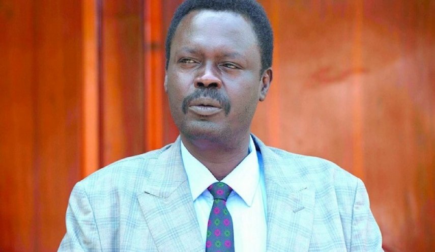 حاكم إقليم دارفور: 85% من مقاتلي 