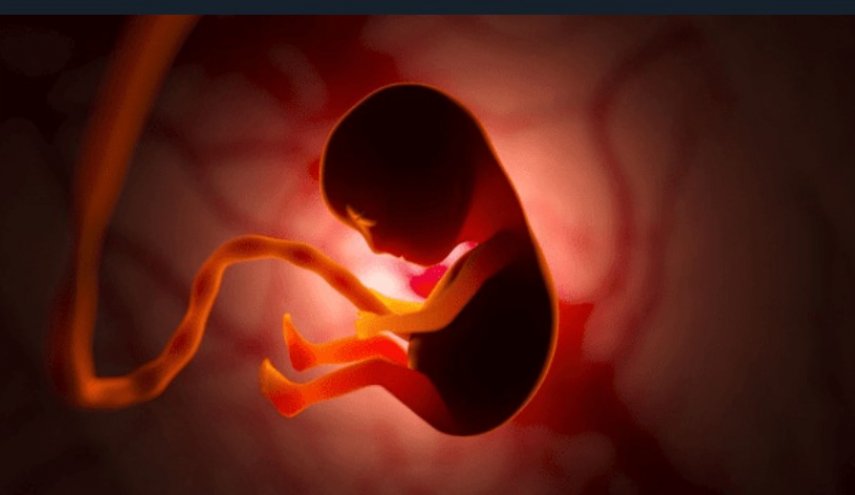 باحثون ايرانيون ينجحون في صنع رحم اصطناعي باستخدام تقنية النانو