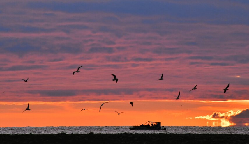 تعرض ناقلة متجهة من روسيا إلى جورجيا لهجوم بالقرب من الساحل التركي