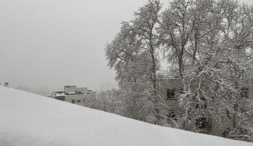 برف ۲۰ سانتی‌متری در تهران + عکس