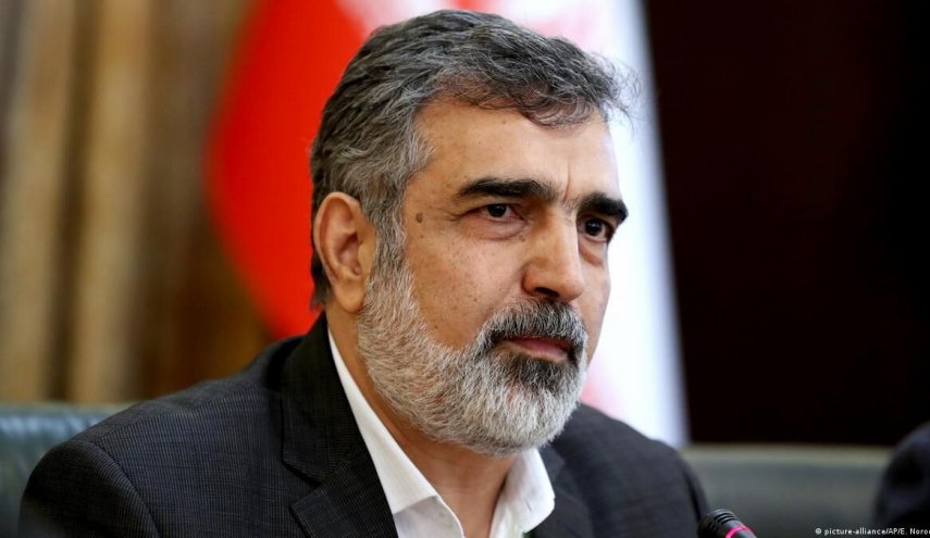 کمالوندی: ممانعت از حضور «اسلامی» در کنفرانس عمومی آژانس رویه‌ای خطرناک برای همه کشورهاست