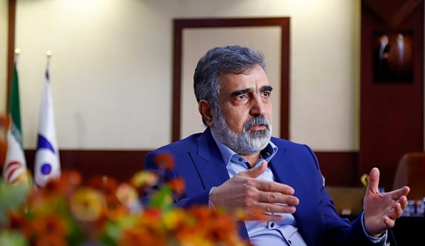 کمالوندی: اراده دفاعی ایران شکست‌ناپذیر است/ افشای پشت‌پرده لغو روادید رئیس سازمان انرژی اتمی