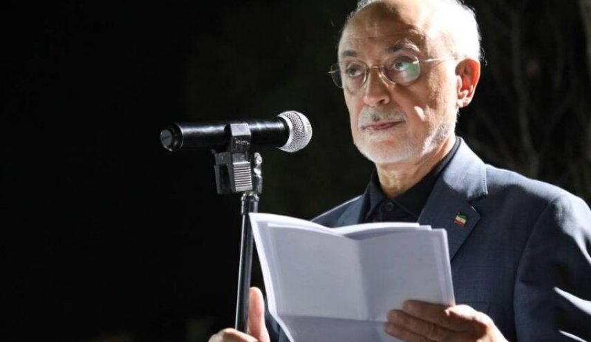 صالحی: گاه یک گفت‌وگوی صریح و انتقال دقیق پیام می‌تواند مانع تنش در روابط دیپلماتیک شود