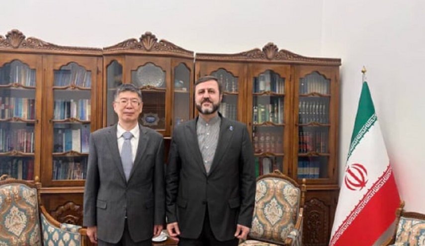 غریب‌آبادی: ایران و چین هر دو بر لزوم توسعه همکاری‌های جنوب جهانی تاکید دارند
