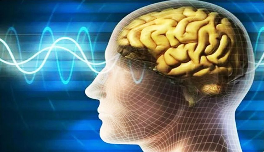 دراسة: الكحول يحفز عملية التدمير الذاتي في الدماغ
