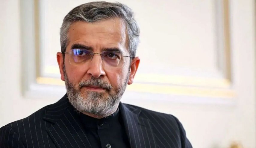 باقری کنی: نشست چهارجانبه تهران، ثمره مقاومت ملت ایران و رشادت نیروهای مسلح بود
