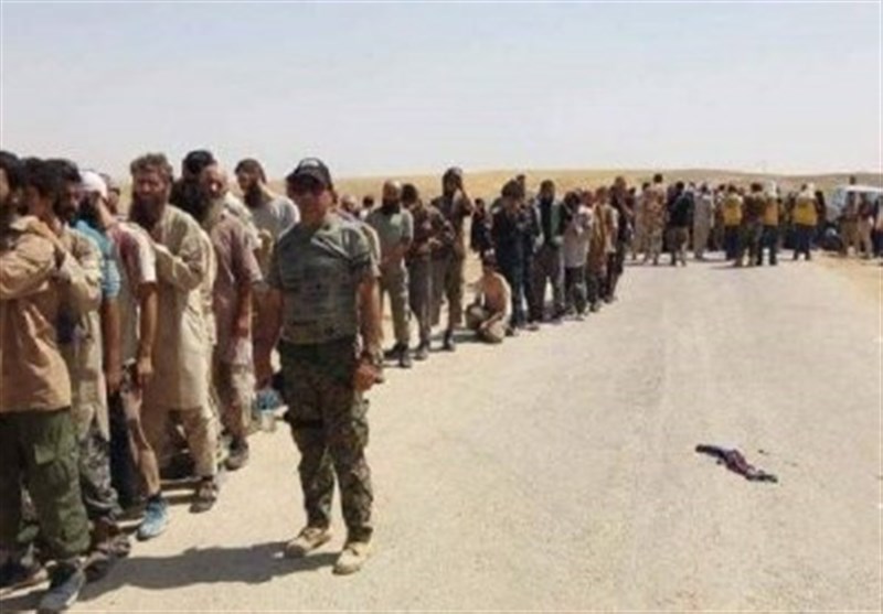 تسلیم دسته جمعی تروریست‌های داعشی به نیروهای مقاومت