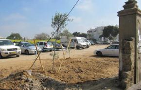 الاحتلال الاسرائيلي يحول مقبرة عسقلان الى موقف سيارات