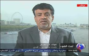 موقف المفتي السعودي ضد الثورات حظي بدعم رسمي