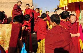 أسراب من النحل تهاجم 76 راهبا بوذيا في شمال تايلاند