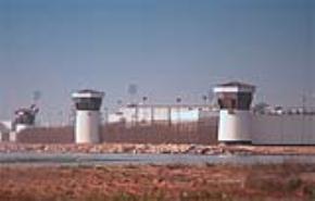 سجناء الراي في البحرين يضربون عن الطعام