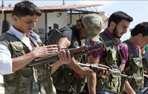 الحوار السلمي سيحاصر القوى الارهابية بسوريا