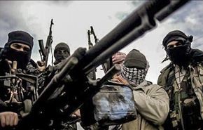 عشرات الهولنديين يقاتلون مع المسلحين في سوريا