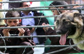 مسيرات بغزة تطالب بتحرك دولي لإنقاذ الأسرى