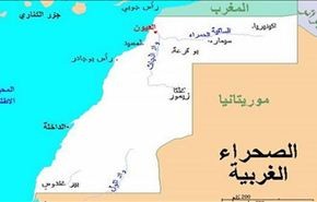 تسوية قضية حقوق الانسان في الصحراء الغربية