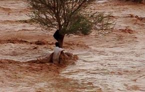 باران بهاری زندگی عربستانی‌ها را فلج کرد