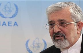 سلطانية: تقرير أمانو يثبت التقدم النووي الإيراني وسلميته