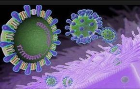 علماء يحذرون من احتمال عودة فيروس اتش7ان9